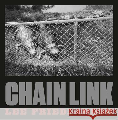 Lee Friedlander: Chain Link Friedlander, Lee 9783958292598 Steidl Dap - książka