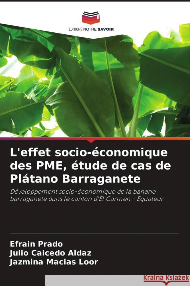 L'effet socio-?conomique des PME, ?tude de cas de Pl?tano Barraganete Efra?n Prado Julio Caiced Jazmina Macia 9786207040667 Editions Notre Savoir - książka