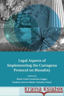 Legal Aspects of Implementing the Cartagena Protocol on Biosafety Marie-Claire Cordonier Segger 9781107004382  - książka