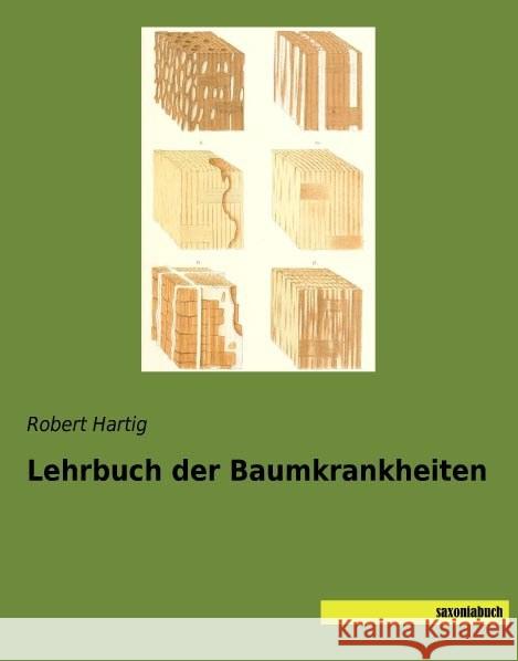 Lehrbuch der Baumkrankheiten Hartig, Robert 9783957702210 Saxoniabuch.de - książka