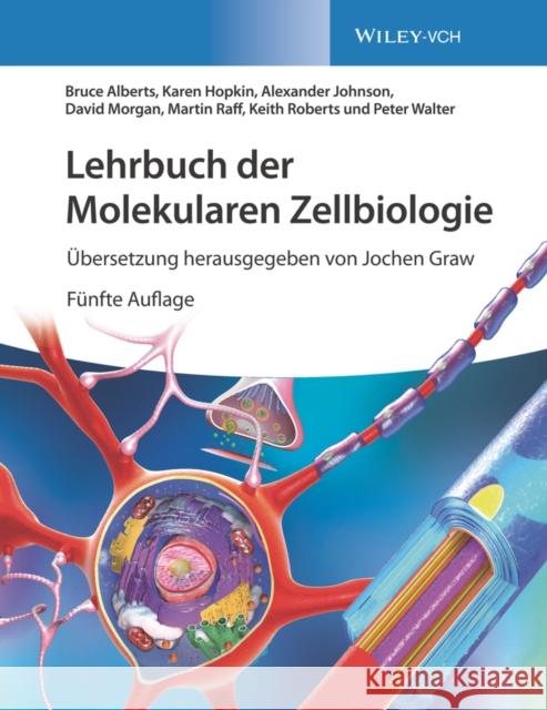 Lehrbuch der Molekularen Zellbiologie Peter Walter 9783527347797 Wiley-VCH Verlag GmbH - książka