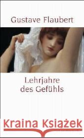 Lehrjahre des Gefühls : Geschichte eines jungen Mannes. Roman Flaubert, Gustave Dessauer, Maria  9783458348375 Insel, Frankfurt - książka