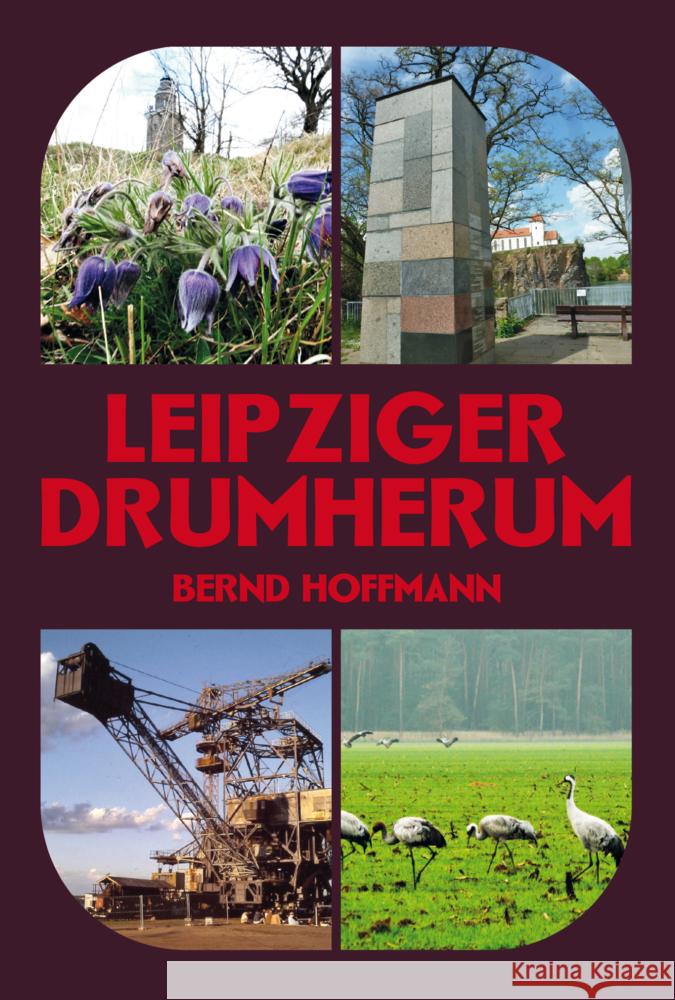 Leipziger Drumherum Hoffmann, Bernd 9783949586132 Pro Leipzig - książka