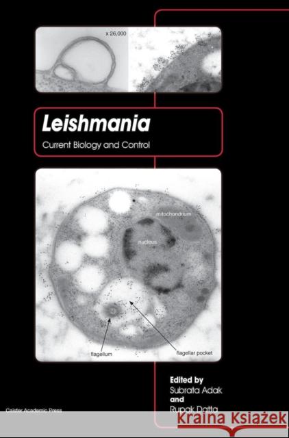 Leishmania: Current Biology and Control Adak, Subrata 9781908230522 Caister Academic Press - książka