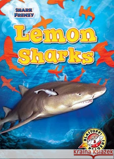 Lemon Sharks Rebecca Pettiford 9781644874394 Bellwether Media - książka