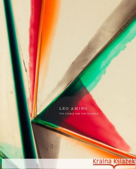 Leo Amino: The Visible and the Invisible  9781955161053 Radius Books - książka