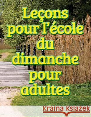 Leçons d'école du dimanche des adultes - Volume 15 Ministères Disciple Mésoamérique 9781563448225 Mesoamerica Regional Publications - książka