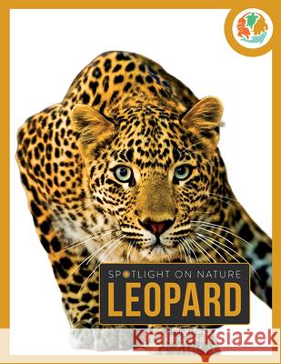 Leopard Julie And David Lavender 9781682775684 Creative Paperbacks - książka