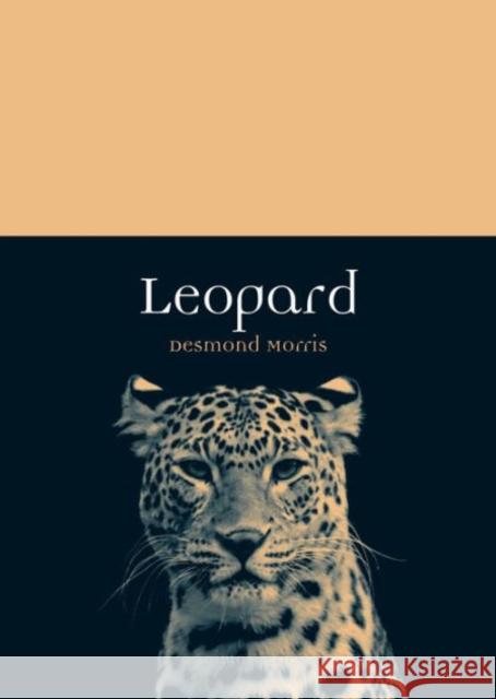 Leopard Desmond Morris 9781780232799 Reaktion Books - książka