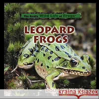 Leopard Frogs Doug Wechsler 9781435836761 PowerKids Press - książka