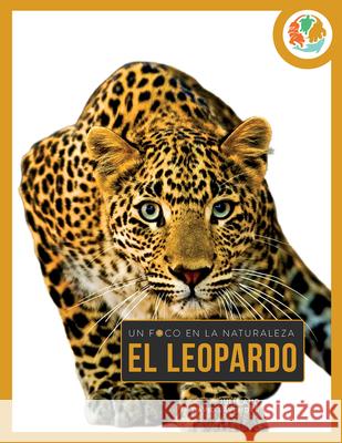 Leopardo Julie And David Lavender 9781682776940 Creative Paperbacks - książka