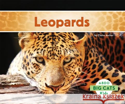 Leopards Claire Archer 9781629700038 Abdo Kids - książka
