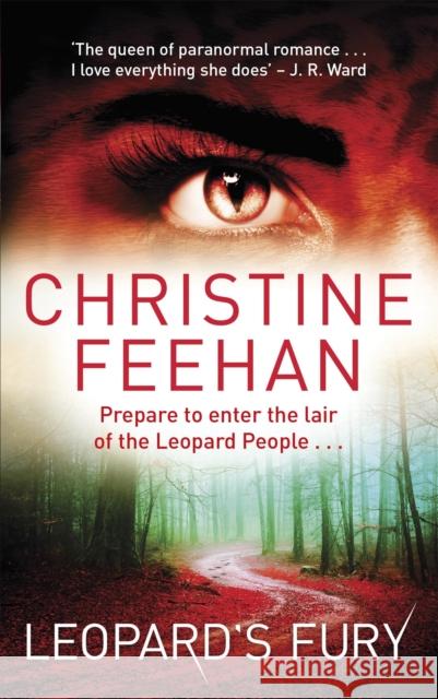 Leopard's Fury Christine Feehan 9780349410388 Little, Brown Book Group - książka