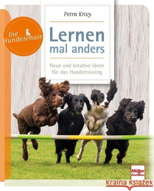 Lernen - mal anders : Neue und kreative Ideen für das Hundetraining Krivy, Petra 9783275021406 Müller Rüschlikon - książka