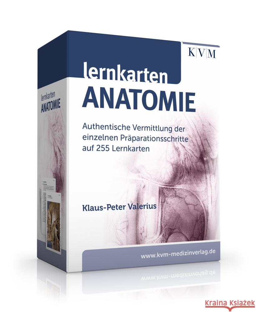 Lernkarten Anatomie Valerius, Klaus-Peter 9783868675689 KVM - książka