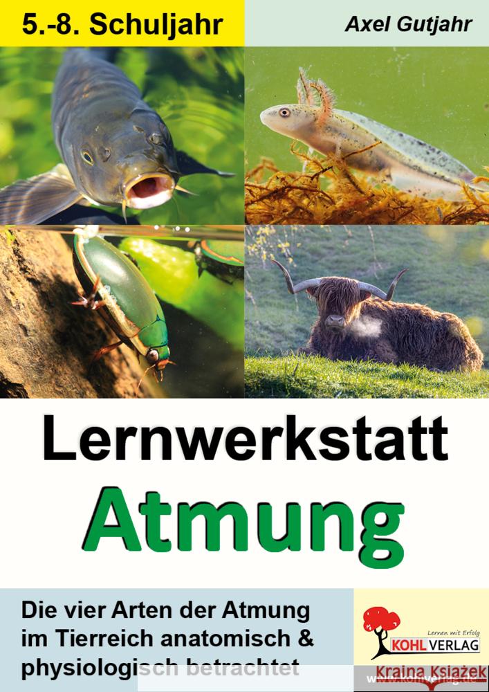 Lernwerkstatt Atmung / Band 1 (Klasse 5-8) Gutjahr, Axel 9783988410672 KOHL VERLAG Der Verlag mit dem Baum - książka