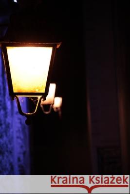 Les Ames Changeantes Mazel Stephane Mazel 9798527763669 Independently published - książka