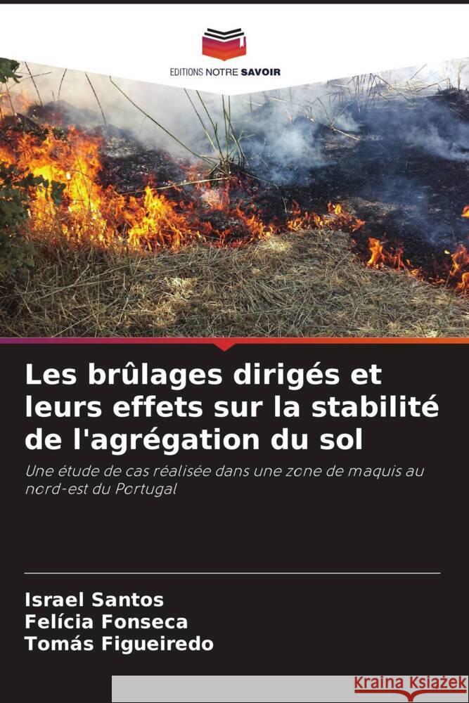 Les brûlages dirigés et leurs effets sur la stabilité de l'agrégation du sol Santos, Israel, Fonseca, Felícia, Figueiredo, Tomás 9786206363132 Editions Notre Savoir - książka