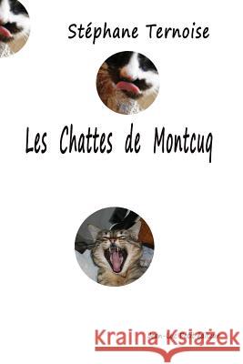 Les chattes de Montcuq Ternoise, Stephane 9782365417280 Jean-Luc Petit Editeur - książka