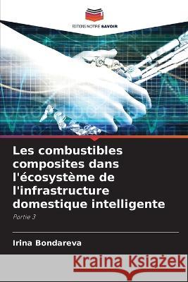 Les combustibles composites dans l'ecosysteme de l'infrastructure domestique intelligente Irina Bondareva   9786206039648 Editions Notre Savoir - książka