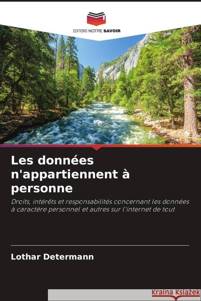 Les données n'appartiennent à personne Determann, Lothar 9786205545140 Editions Notre Savoir - książka
