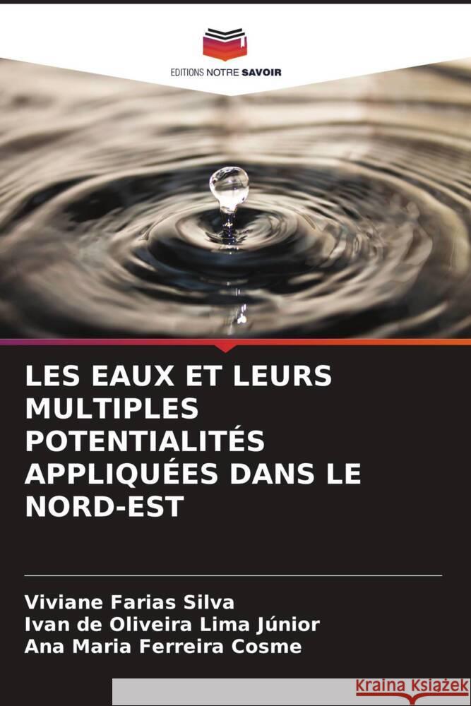 LES EAUX ET LEURS MULTIPLES POTENTIALITÉS APPLIQUÉES DANS LE NORD-EST Silva, Viviane Farias, Lima Júnior, Ivan de Oliveira, Cosme, Ana Maria Ferreira 9786205207239 Editions Notre Savoir - książka