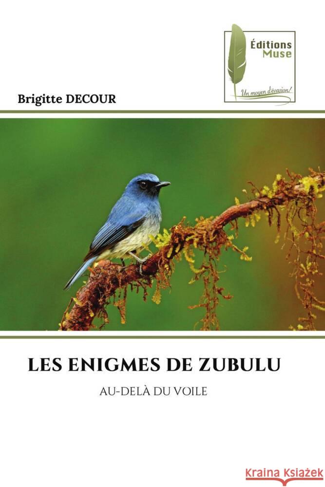 LES ENIGMES DE ZUBULU DECOUR, Brigitte 9786207811908 Éditions Muse - książka