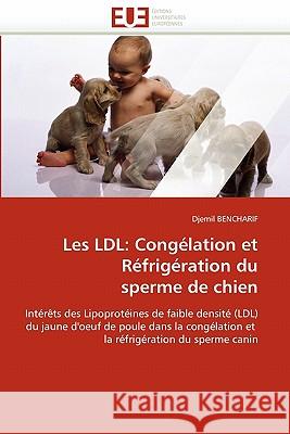 Les LDL: Congélation Et Réfrigération Du Sperme de Chien Bencharif-D 9786131557941 Editions Universitaires Europeennes - książka