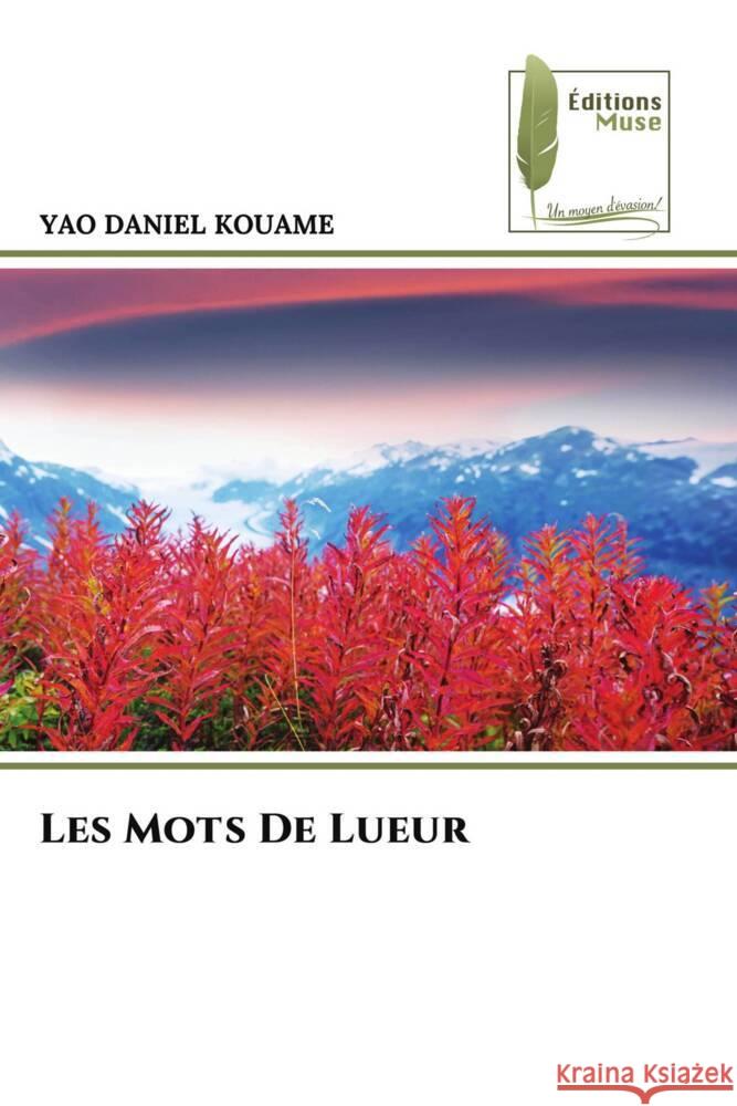 Les Mots De Lueur Yao Daniel Kouame 9786207812721 Editions Muse - książka
