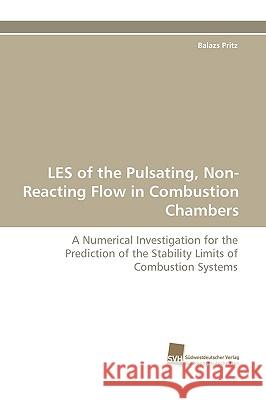 Les of the Pulsating, Non-Reacting Flow in Combustion Chambers Balazs Pritz 9783838113043 Sudwestdeutscher Verlag Fur Hochschulschrifte - książka