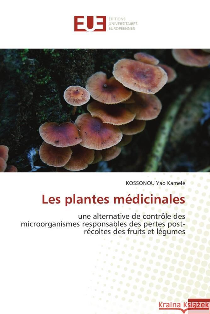 Les plantes médicinales Yao Kamelé, KOSSONOU 9786203454772 Éditions universitaires européennes - książka