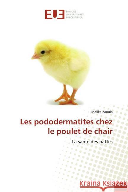 Les pododermatites chez le poulet de chair : La santé des pattes Zaouia, Malika 9786202279840 Éditions universitaires européennes - książka