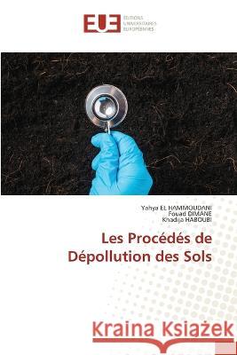 Les Proc?d?s de D?pollution des Sols Yahya E Fouad Dimane Khadija Haboubi 9786203450996 Editions Universitaires Europeennes - książka