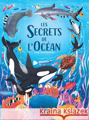 Les Secrets de l'Oc?an Amy Grimes Amy Grimes 9781039714618 Scholastic - książka
