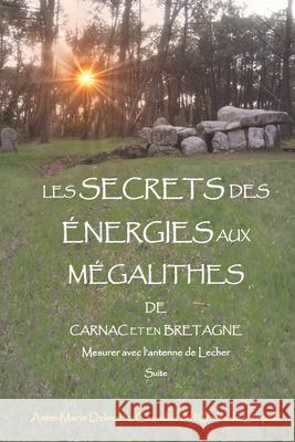 LES SECRETS DES ÉNERGIES AUX MÉGALITHES DE CARNAC ET EN BRETAGNE - Mesurer avec l'antenne de Lecher - Suite Delmotte, Anne-Marie 9789464005905 D/22/14.736/2/Delmotte Vibrating Energies - książka