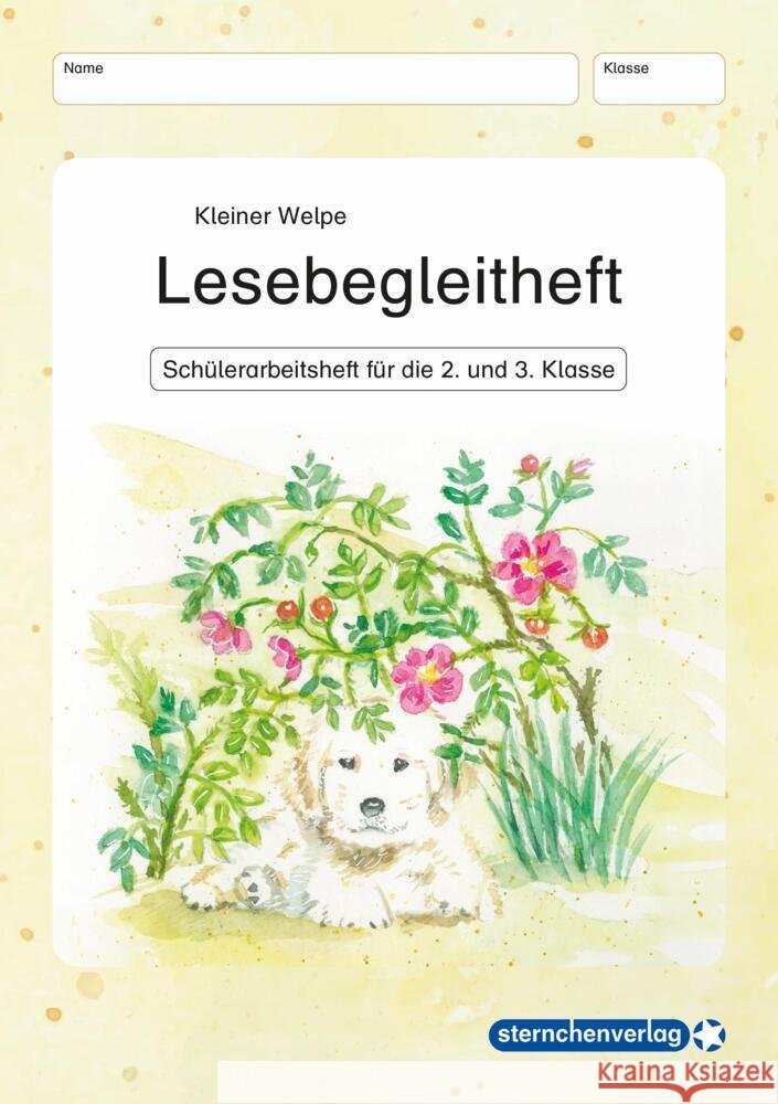 Lesebegleitheft - Kleiner Welpe sternchenverlag GmbH, Langhans, Katrin 9783910429550 Sternchenverlag - książka