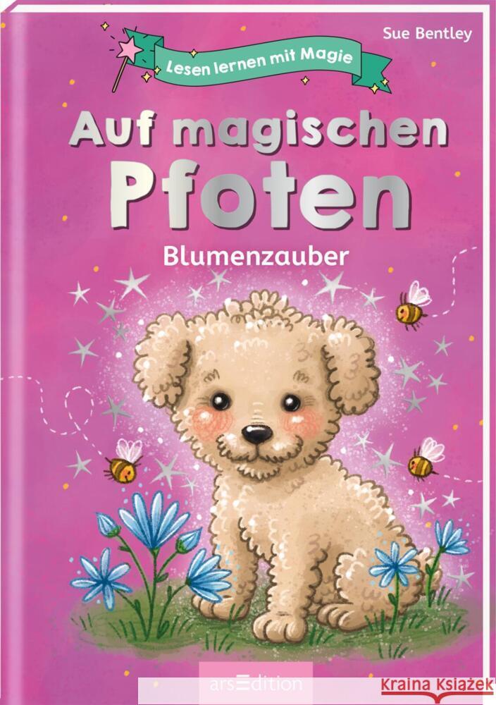 Lesen lernen mit Magie: Auf magischen Pfoten Bentley, Sue 9783845847702 ars edition - książka
