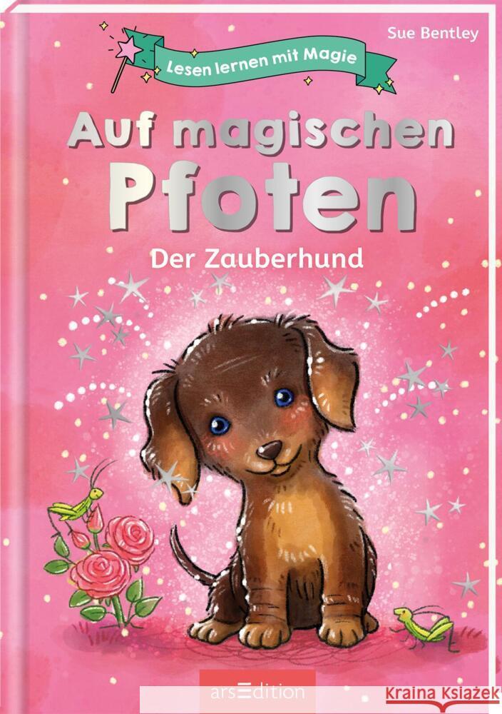 Lesen lernen mit Magie: Auf magischen Pfoten Bentley, Sue 9783845847733 ars edition - książka