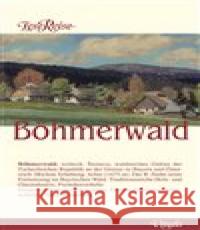 LeseReise Böhmerwald : LeseReise Harald Salfellner 9783899190359 Vitalis - książka