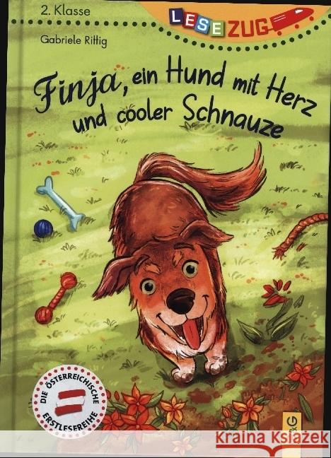 LESEZUG/2. Klasse: Finja, ein Hund mit Herz und cooler Schnauze Rittig, Gabriele 9783707425598 G & G Verlagsgesellschaft - książka