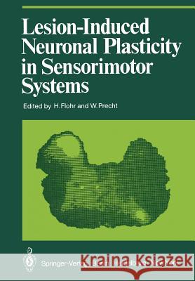 Lesion-Induced Neuronal Plasticity in Sensorimotor Systems H. Flohr W. Precht 9783642680762 Springer - książka