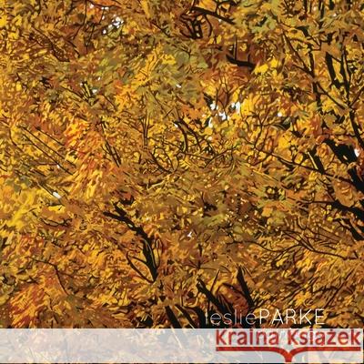 Leslie Parke Paintings Leslie Parke, Landi Ann 9780557657513 Lulu.com - książka