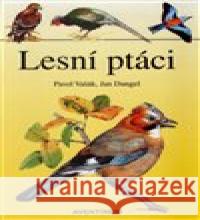 Lesní ptáci Jan Dungel 9788086858852 Aventinum - książka