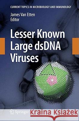 Lesser Known Large Dsdna Viruses Van Etten, James L. 9783540686170 Springer - książka