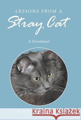 Lessons from a Stray Cat: A Devotional Sandi Snyder 9781512736823 WestBow Press - książka