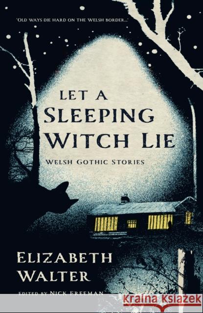 Let a Sleeping Witch Lie: Welsh Gothic Stories by Elizabeth Walter Elizabeth Walter 9781781727799 Poetry Wales Press - książka