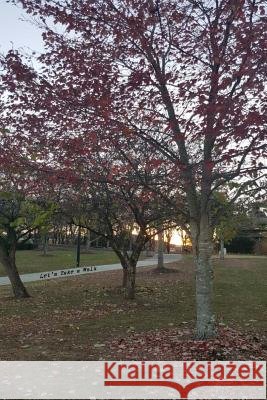 Let's Take a Walk Langley Shazor Elliott Watson 9781978022072 Createspace Independent Publishing Platform - książka