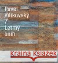 Letmý sníh Pavel Vilikovský 9788072278978 Druhé město - książka