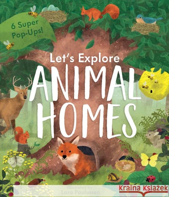 Let's Explore Animal Homes Becky Davies 9781912756360 Little Tiger Press Group - książka