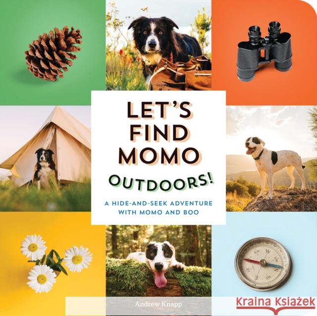 Let's Find Momo Outdoors!: A Hide-And-Seek Adventure with Momo and Boo Knapp, Andrew 9781683692621 Quirk Books - książka